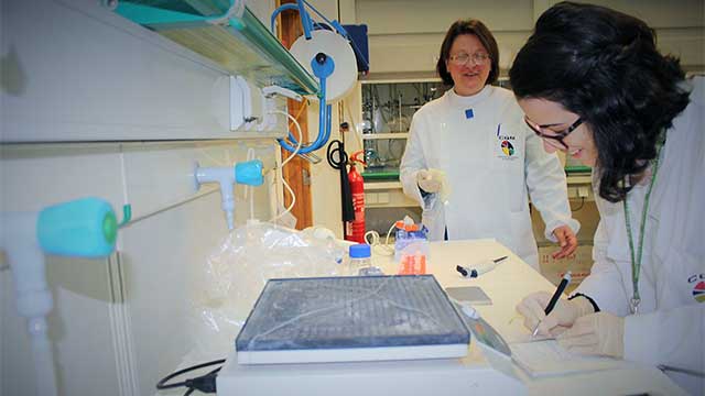 Sample preparation of the first tests with ruthenium metallodendrimers on CQM's MALDI TOF/TOF mass spectrometer.