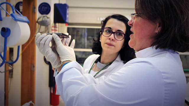 Sample preparation of the first tests with ruthenium metallodendrimers on CQM's MALDI TOF/TOF mass spectrometer.